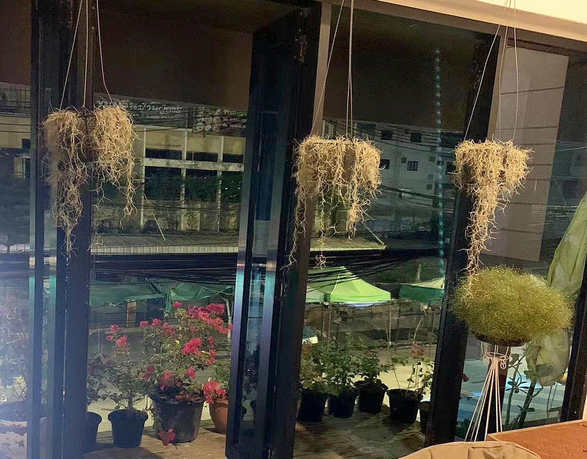 Susu Khaosan Hostel 曼谷 外观 照片
